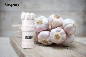 Kitchen-Garlic-Master-Perfectly-Minced-Garlic-In-Seconds-Garlic-Cuttin –  Shopeazy