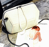 Fashion Shell Ladies Sling Bag