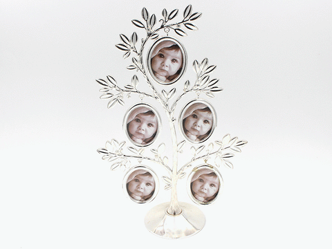 Stainless steel family tree